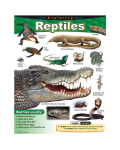 Exploring Reptiles Chart