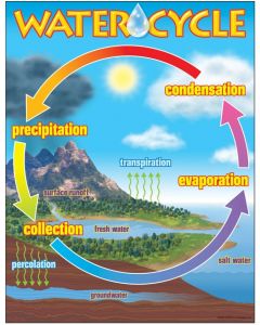 Water cycle chart