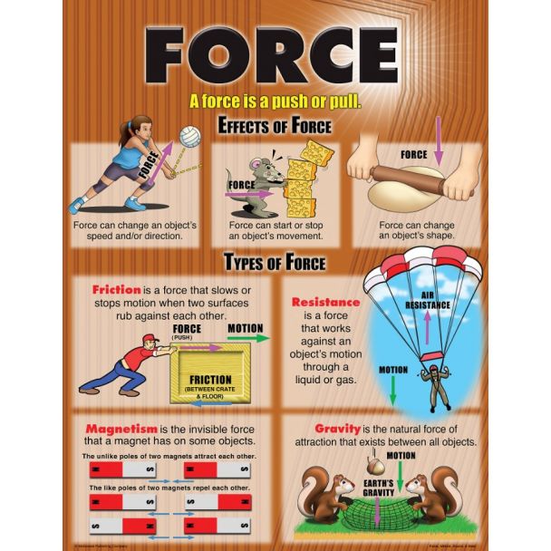 Force chart