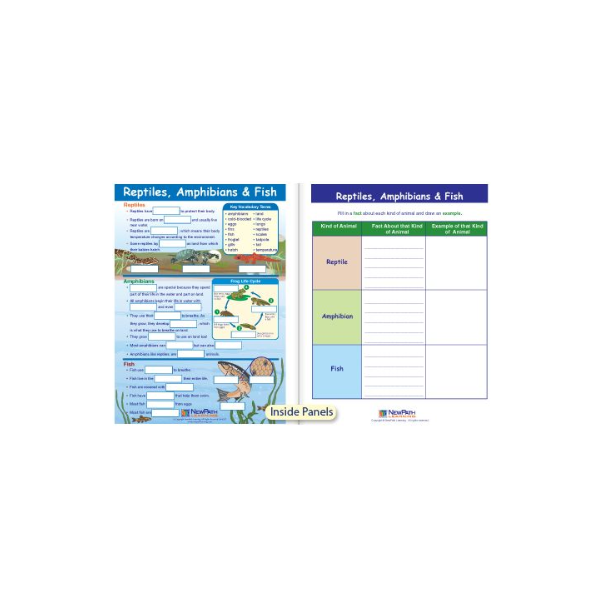 Reptiles, Amphibians & Fish Chart