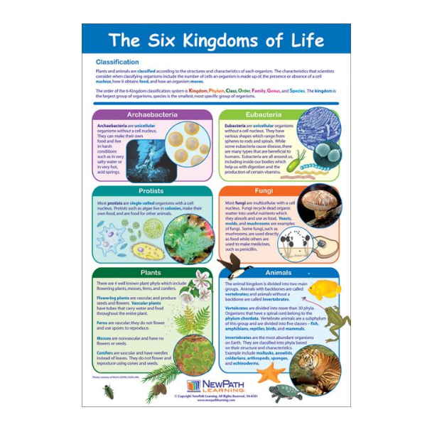 The Six Kingdoms of Life Chart