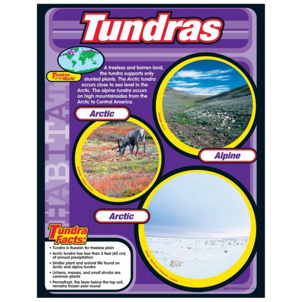 Tundra chart