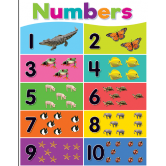 Numbers Chart