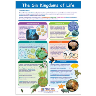 The Six Kingdoms of Life Chart