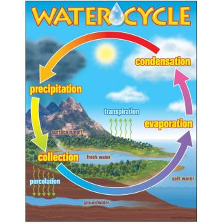 Water cycle chart